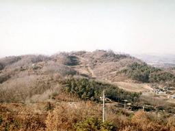 백제 멸망에 <strong>고구려</strong>는 어떻게 대응하였나?