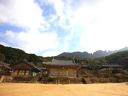 [여행] 牛랏차차...'소 기운' 흠뻑 받고 대박나소!