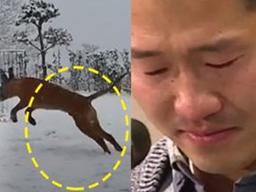 강형욱 눈에서 눈물나게 한 ‘투견’의 구조 후 일상 모습