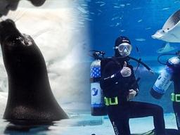 국내 70명뿐… 대기업 연봉 받는데 정년 없는 <strong>직업</strong>