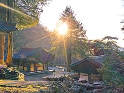 왕건·이성계가 계시받은…상이암 ‘왕의숲’서 새 희망을 품다