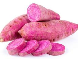 다이어트와 <strong>노화</strong><strong>방지</strong>에 '딱' 좋은 이것