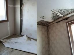 장판 뜯기고 벽지엔 곰팡이… SH매입<strong>임대</strong> 둘러본 수요자들 '분통'