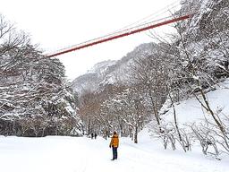 대설 특보 내린 그날, <strong>순창</strong> 강천산 올랐다···마냥 아늑했다