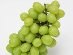 “<strong>샤인</strong>머스캣 이어 꿀고구마도 한국에 빼앗겼다” 법 바꾼 일본