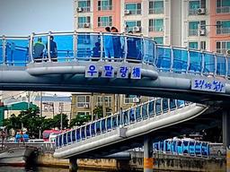 ‘실제 존재하는 건가요?’ 커뮤니티에서 화제 된 국내 다리의 이름