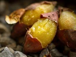 고구마, 더 달게 먹는 비법은 '온도와 시간'