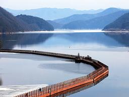 [여행] 삭막한 담벼락, 이끼 대신 '<strong>예끼</strong>' 내려앉았네