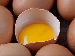 계란에 대해 모두가 알아야 할 <strong>상식</strong>
