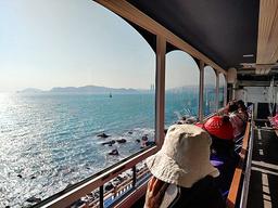 옛 동해남부선 추억을 싣고…‘해변열차’ 타고 떠나볼까[전승훈 기자의 아트로드]