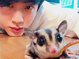 ‘한국에서 키울수 있다니’ 이미 업계에서는 유명하다는 아이돌 <strong>반려동물</strong>