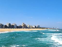 “바다만 보이면 뛰는 땅값”…‘평당 4000만원’ 강릉 커피<strong>거리</strong> 노른자위 된 사연