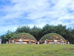 세종은 왜 큰아버지 정종에게 "정통성 없다" 낙인 찍었을까