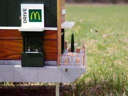 ‘재밌고 새롭게’ 아이디어로 주목받았던 친환경 방식들