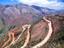 [뿌리다와 탕탕의 지금은 <strong>여행</strong> 중] 돼지와 함께 <strong>여행</strong>을...그때는 울었고 지금은 웃는다