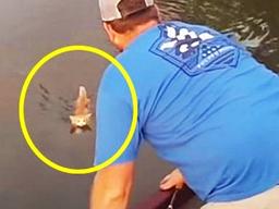 낚시하고 있는 사람에게 직접 다가와 도움 요청한 똑똑한 고양이의 생각지도 못한 반전 상황