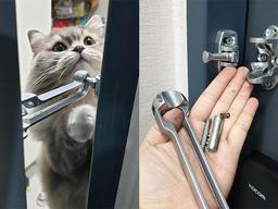 '고양이가 잠가서...' 새벽 3시30분에 <strong>현관문</strong> 부숴야 했던 집사