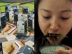 이효리발 히트상품 ‘제주도 1인 <strong>타운하우스</strong>’의 실제 모습