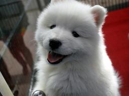 [두유노우] <strong>아기</strong>가 <strong>귀여운</strong> 것은 '이것' 때문이다?