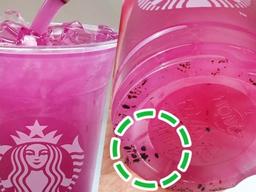 무조건 벤티사이즈로 구매해야 한다는 스타벅스 신상음료