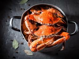 '홈메이드 랍스터' 미국, <strong>해산물</strong> 시장의 성장