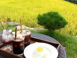 논에서 라테 한잔? ‘오션뷰’ 뺨치는 ‘논밭뷰’ 카페를 아십니까?