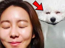 “조회수 220만” 아이돌이 키우는 반려견의 데뷔해도 될만한 <strong>헐리우드</strong>급 리액션 수준