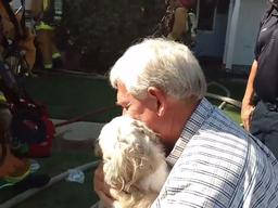 불난 집에서 질식한 반려견 산소 <strong>호흡</strong>해 주자 놀라운 결과