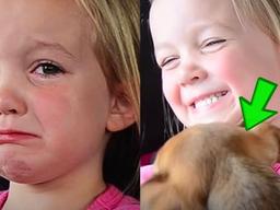 강아지 키우고 싶다고 폭풍오열하던 아이들의 훈훈한 반전 최후