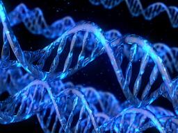 왜 임신 안 되나 했더니…결혼 후 자신이 ‘남성’인걸 안 <strong>여자</strong>