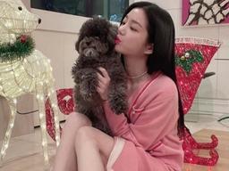 팔려 갈뻔한 강아지 발견한 여배우가 눈물 흘리며 내린 감동적인 결단