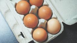 달걀에 새긴 숫자들의 의미, 알고 구입하시나요?