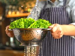 직접 하는 야채테크! 집에서 손쉽게 키울 수 있는 야채 4가지