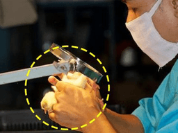 ‘연봉 7,000만원 육박’ 10명 중 6명이 한국인이라는 고소득 직업