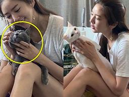 ‘집사들 폭풍 공감’ 손담비가 연애 안 해도 외롭지 않다는 이유