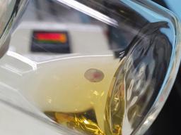 인공자궁 돌파구 열렸나, 유리병 속 생쥐 태아 심장이 뛰었다