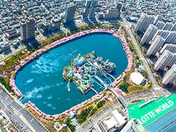 100년만에 가장 일찍 핀 <strong>벚꽃</strong>, 어~하다가 훅~집니다