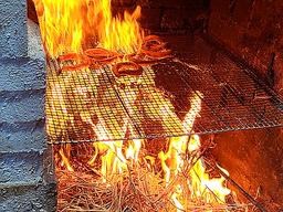 [알쏭달쏭 바다세상Ⅲ](10) "올여름 몸보신은 짚불에 구운 기장 곰장어로"