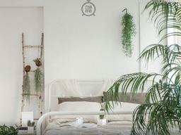 [카드뉴스] '플랜테리어'로 공기 <strong>정화</strong>와 인테리어를 한 번에!