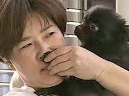 보는 순간 모두 ‘공감’했다는 박세리가 반려견에게 한 행동 하나