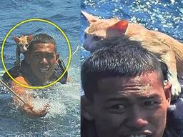 물에 빠진 <strong>새끼 고양이</strong>를 보고 마을 사람들이 내린 선택