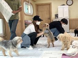 배우 <strong>성유리</strong> 유기견 봉사와 사료기부 2톤