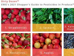EWG “올해도 <strong>잔류</strong> 살충제 많은 과채류는 딸기”
