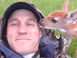 ‘이건 운명아닌가요?’ 아기 사슴 구조해 기르던 남성이 한 결심