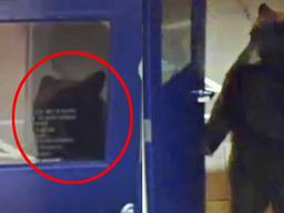 <strong>경찰서</strong> 문 열고 당당히 두 발로 들어온 동물의 정체