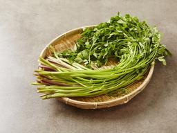 인기높은 미나리, ‘최고의 품격’도 지녔다