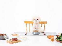 높아진 펫푸드 기준에 재료와 <strong>영양</strong> 성분 따진 프리미엄 인기