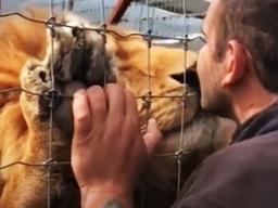 ‘이정도면 사람 아니냐’ 말나온 동물들의 <strong>표정</strong> 사진