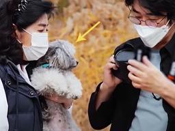 ‘강아지 영양제 먹여야 한다?’ 유명 여<strong>의사</strong>가 한 대답