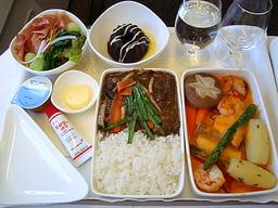 <strong>비행기</strong> 조종사가 따로 도시락 싸온다? 항공사들 금지한 이유 [강갑생의 바퀴와 날개]